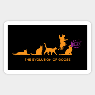 The Evolution of Goose Sticker